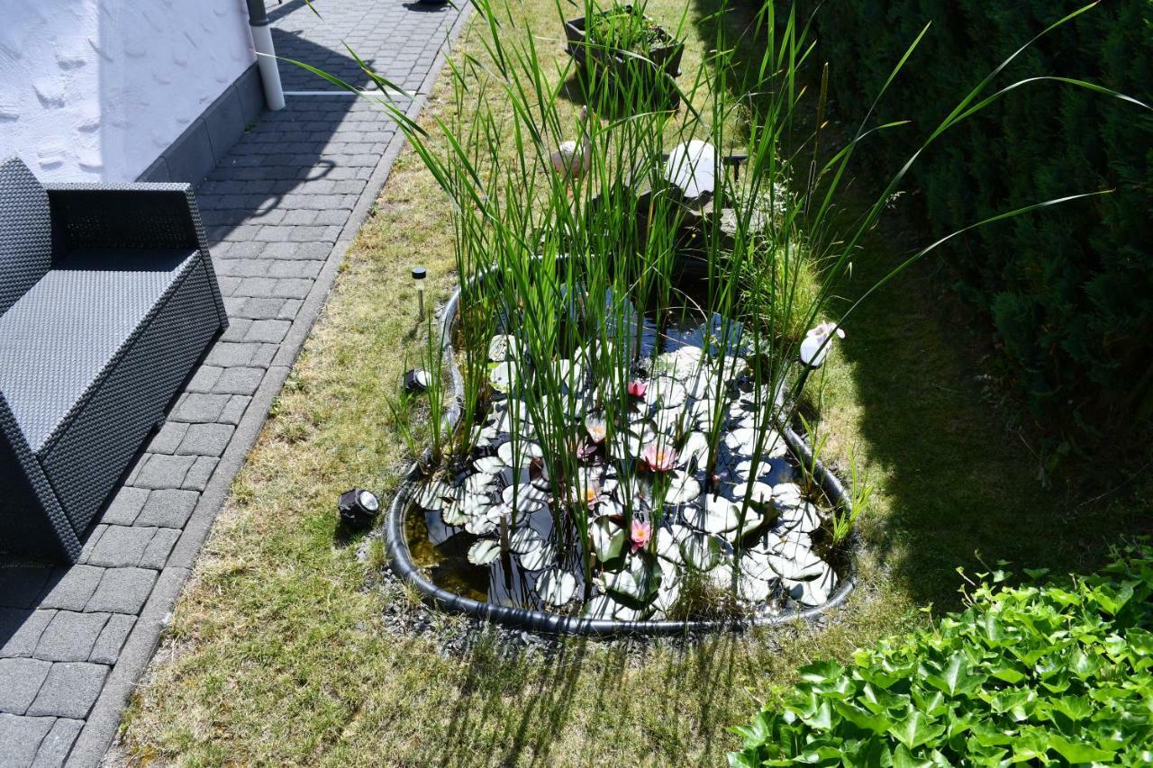 Ferienwohnung Bellerbergblick Ettringen  Exteriér fotografie